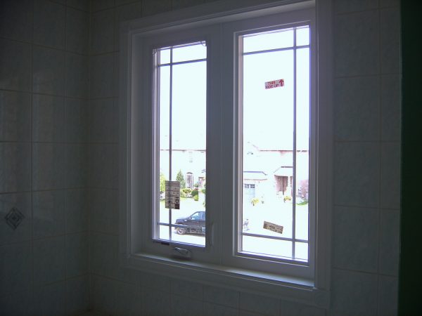 Bathroom windows